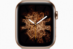 Apple-Watch-Series4_Fire_09122018