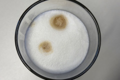 Der Milchschaum überzeugt mit feiner, dichter Struktur und stabiler Konsistenz. (Foto: Testsieger.de)