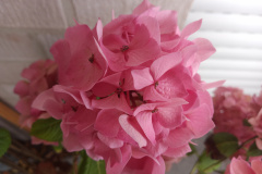 Doro 8200 (Foto: Testsieger.de)