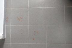  Bei hartnäckigen Verschmutzungen wie eingetrocknetem Ketchup stößt der Z30 Pro Aqua an seine Grenzen und hinterlässt auch nach mehreren Durchgängen sichtbare Rückstände. (Foto: Testsieger.de)