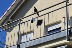 Die Kombination aus 4G, Akku und Solarpanel macht die CB8 Lite 4G zu einer überzeugenden Lösung für Garten, Hausfassade oder Carport. (Foto: Testsieger.de).