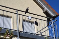 Genau an solchen Orten spielt das Kit seine Stärke aus, denn es ist für die Überwachung ohne festen Strom- und WLAN-Anschluss ausgelegt. (Foto: Testsieger.de).