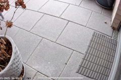 Gestochen scharfes Bild bei Tageslicht – Beispielaufnahme aus dem Livefeed. (Foto: Testsieger.de)