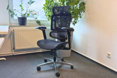 Flexispot ErgoX Pro Chair (Foto: Testsieger.de)