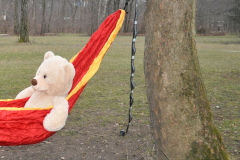 2021-01-04-15.52_corr-watermarked