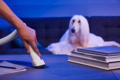 Rowenta XÔ (Quelle: Rowenta)