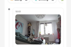 Alle Ereignisse im Blick: In der Aktivitätsübersicht werden erkannte Bewegungen inklusive Zeitstempel und zugeordnetem Haustier dargestellt, erweiterte Kategorien wie Fressen oder Trinken bleiben jedoch dem Abo vorbehalten. (Foto: Testsieger.de)