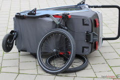 Qeridoo Kidgoo 1 2022