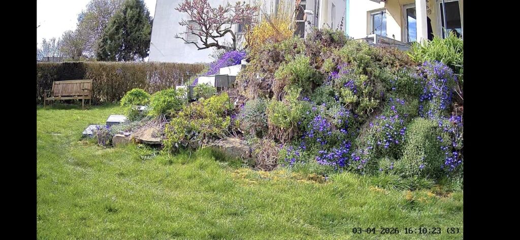 „EZVIZ CB8 Lite 4G Kit“:“Tagesaufnahme des überwachten Gartens“