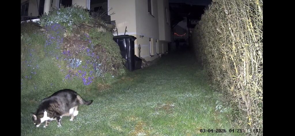 „EZVIZ CB8 Lite 4G Kit“:“Nachtaufnahme mit erfasstem Tier im Garten“