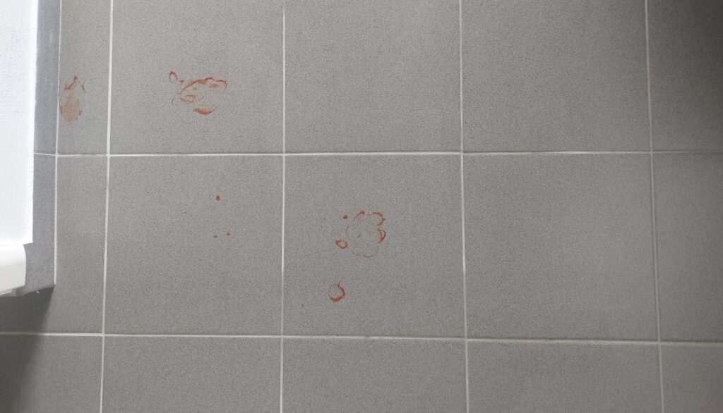 Dreame Z30 Pro Aqua: Ketchuprückstände nach mehreren Wischdurchgängen