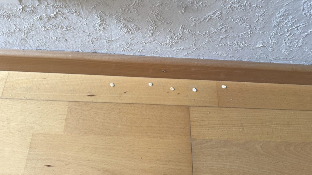 „Dreame L50 Ultra AE": Kantenreinigungstest mit fünf Haferflocken entlang der Fußleiste