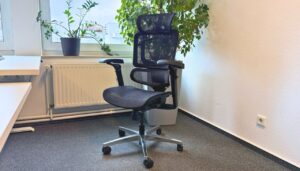 Flexispot ErgoX Pro Chair