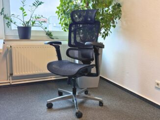 Flexispot ErgoX Pro Chair (Foto: Testsieger.de)