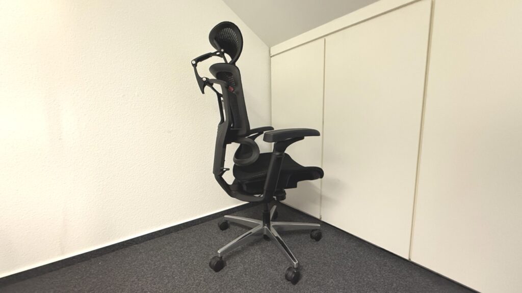 Flexispot ErgoX Pro Chair: Gesamtansicht