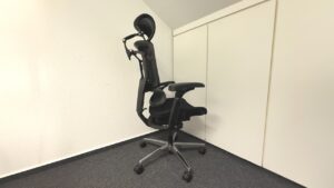 Flexispot ErgoX Pro Chair