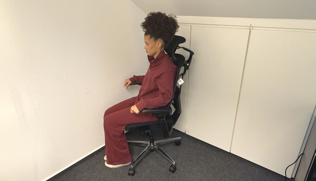 Flexispot ErgoX Pro Chair: Seitenansicht
