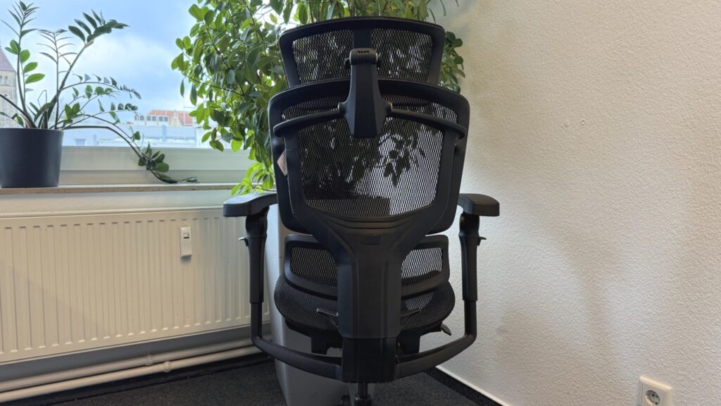 Flexispot ErgoX Pro Chair: Rückenpartie des Stuhls