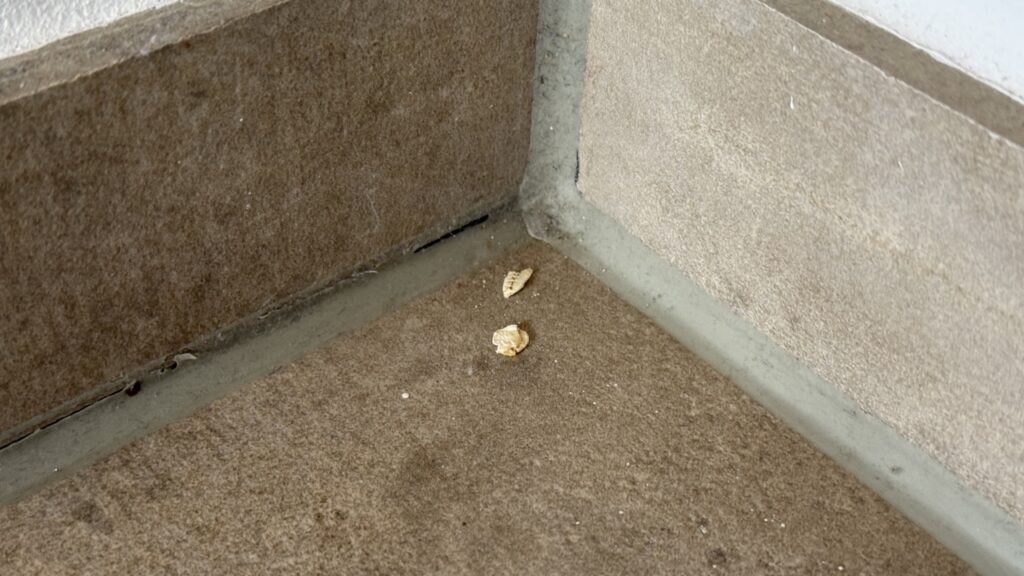 Narwal Flow 2: Verbliebene Reiskörner im Eckenreinigungstest