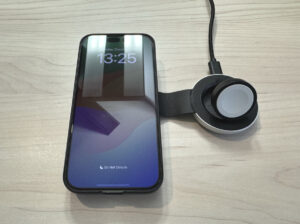 Twelve Sout Butterfly