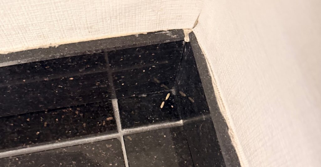 Roborock Qrevo Curv 2 Flow: Rückstände nach Eckenreinigungstest mit Reiskörnern