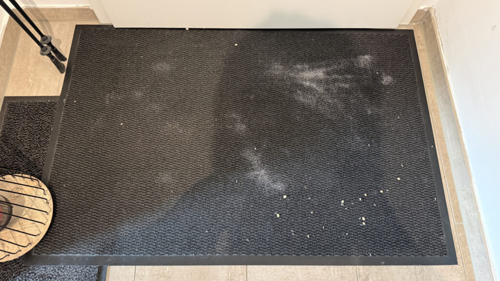 „DJI Romo P“: Teppich nach dem Reinigungsvorgang