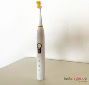 Sonic Generation 8 Winner